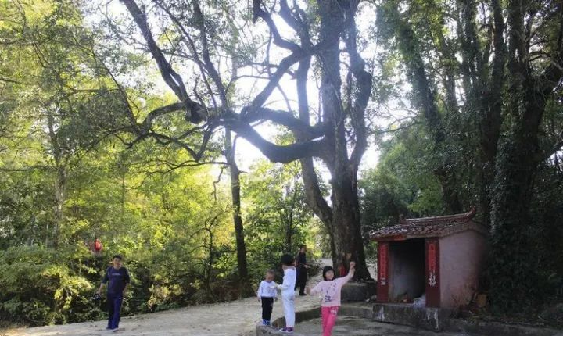胜游亚洲·(中国区)官方网站