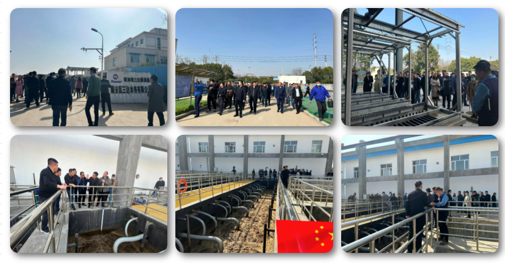 17 胜游亚洲·(中国区)官方网站