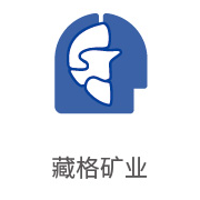 胜游亚洲合作同伴：藏格矿业